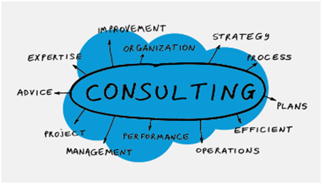 Salesforce Consulting process - janbask