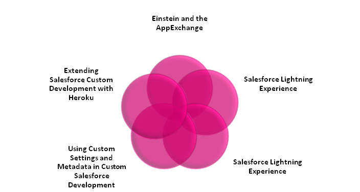 Understanding the customization and development of apps with the help of Salesforce Lightning