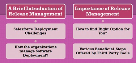 Strategical Salesforce Release Management Process
