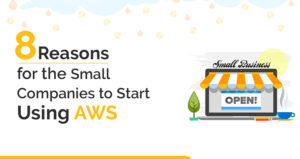 8 Reasons for the Small Companies to Start Using AWS