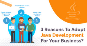 Top 3 Reasons Why Should You Adopt Java Development For Your Business?