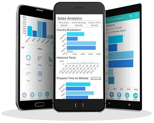 Salesforce Application Development